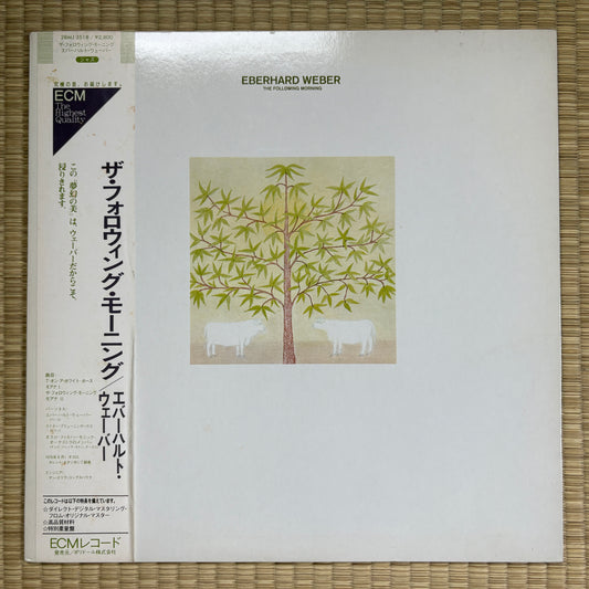 Eberhard Weber – The Following Morning / 28MJ 3518 ECM Japan Original Promo LP