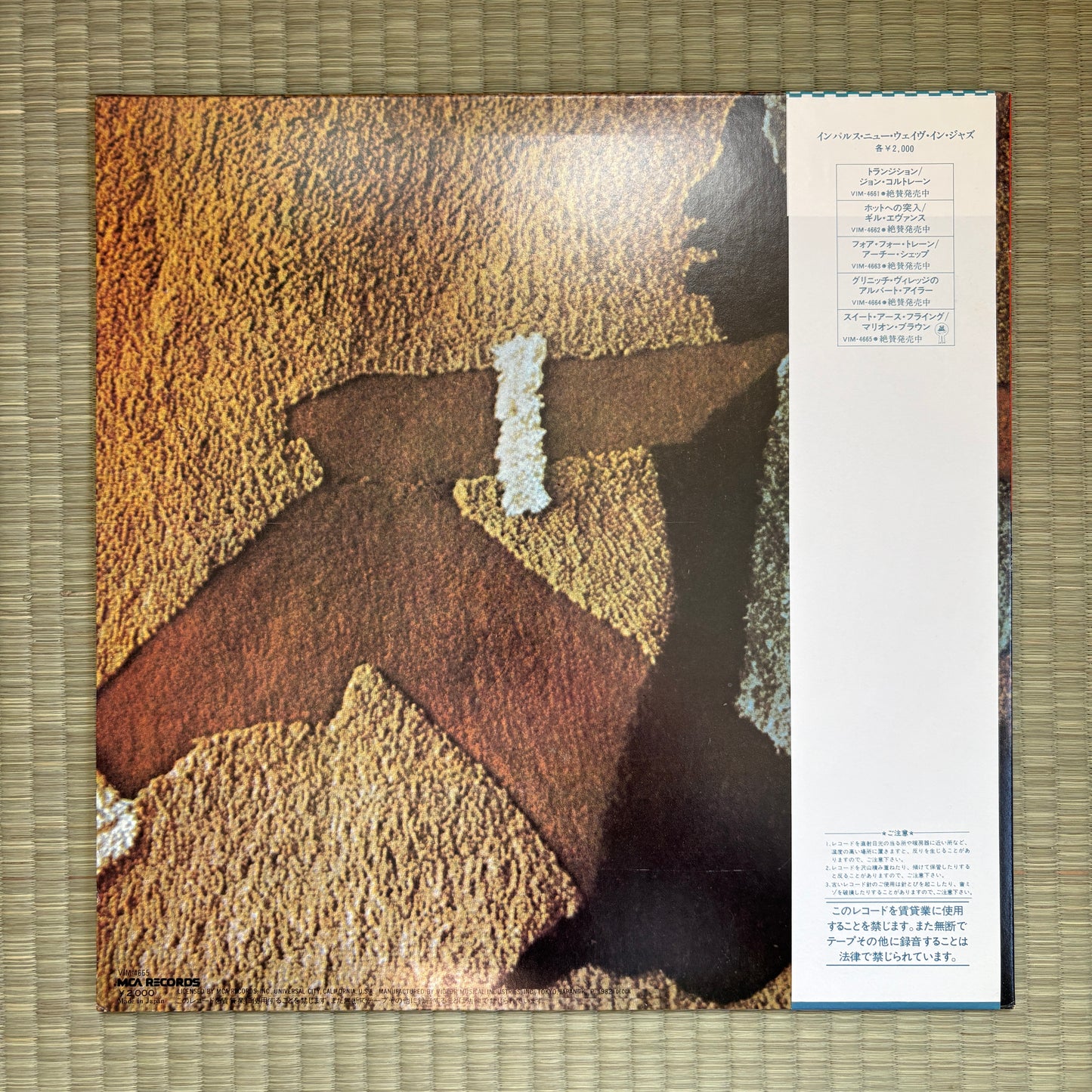 Marion Brown ‎– Sweet Earth Flying / VIM-4665 MCA Japan LP