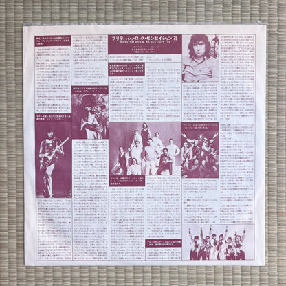 The Headhunters – Survival Of The Fittest / BLPO-11-AR Arista Japan Original LP