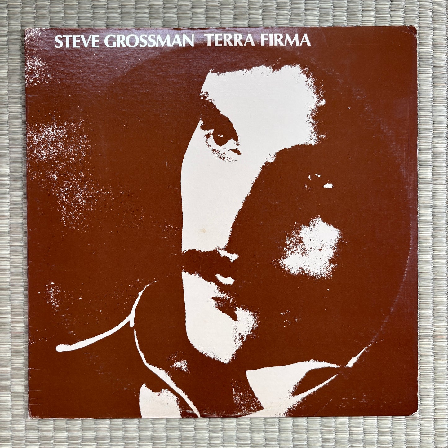Steve Grossman - Terra Firma / PMR-012 PM US Original LP