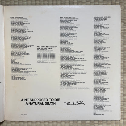 Melvin Van Peebles – Ain't Supposed To Die A Natural Death / SP-4223 A&M US Original LP